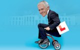 politics wrap