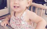 savannah toddler killed driveway