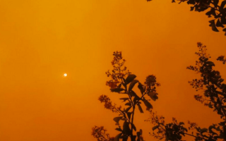 Flames had reportedly reached up to 50 metres high in some parts.