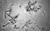 shipwreck mh370