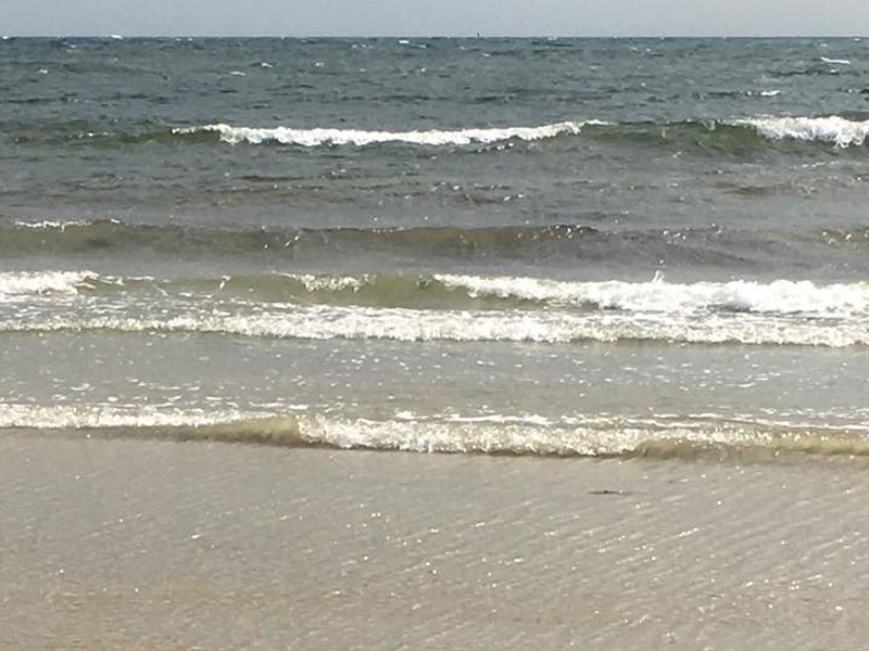 williamstown beach