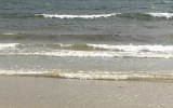 williamstown beach