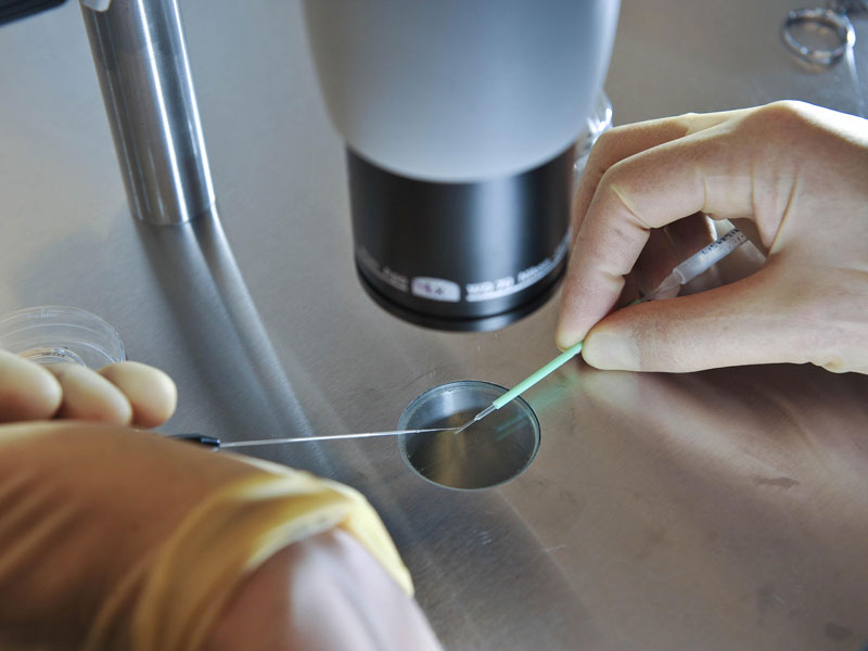 IVF cyber breach