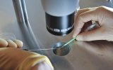 IVF cyber breach