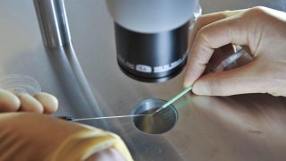 IVF cyber breach