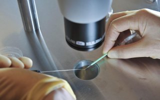 IVF cyber breach