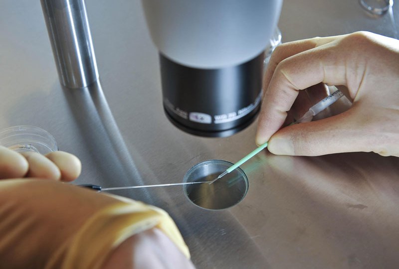IVF cyber breach