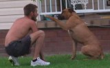 A dog outside the house where the girl was attacked.