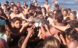 Camera-wielding tourists took photos of the mammal.