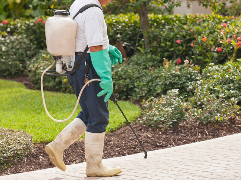herbicide