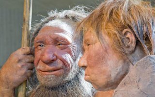 neanderthal