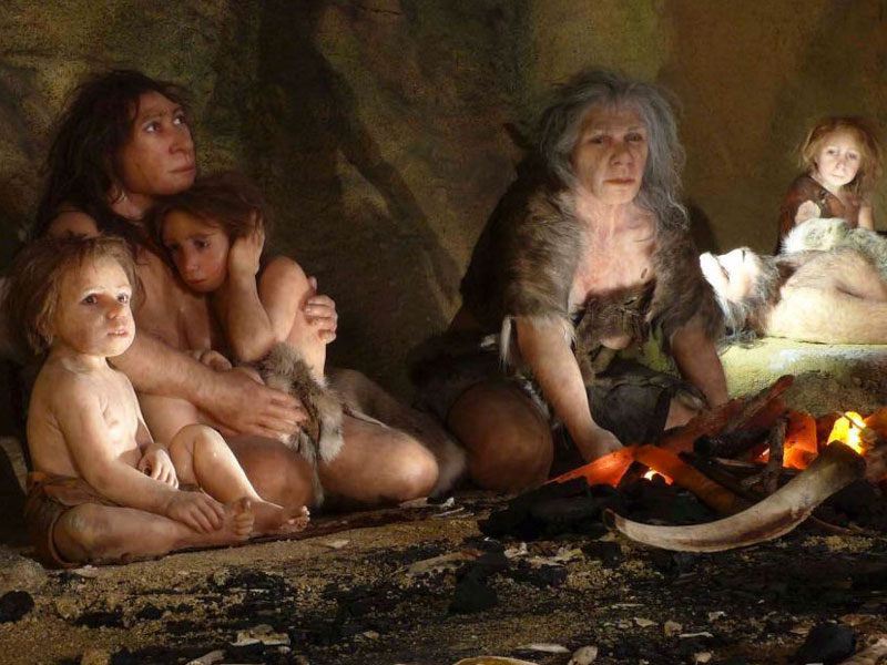 neanderthal