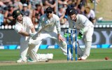 Adam Voges