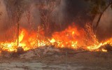 wa bushfires