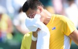 Tomic sledges Kyrgios