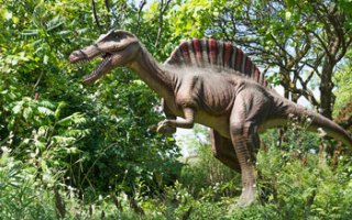 Spinosaurus Aegyptiacus