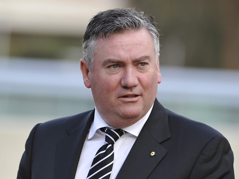 McGuire said the Docklands stadium was a "liability".