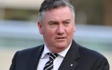 McGuire said the Docklands stadium was a "liability".