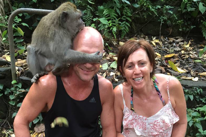 monkey rabies bali