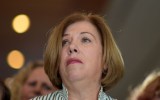 Ms Gambaro was in federal parliament for 27 years.