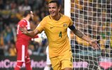 Tim Cahill
