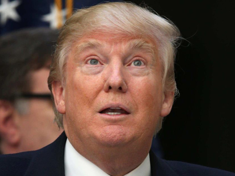 Donald Trump's comments unleashed a flurry of feedback.