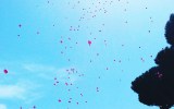 balloons