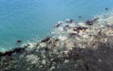 great barrier reef