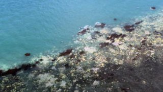 great barrier reef