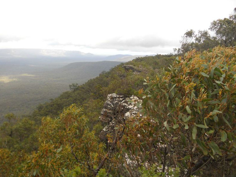 Police believe the group planned to spend the day at Grampians National Park.
