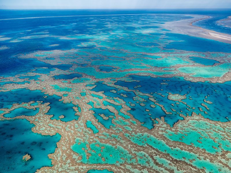 The Turnbull Government has set aside $171 million in extra reef funding. Photo: Getty.