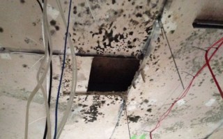 Mould has been found in many of the Royal Hobart Hospital demountables.