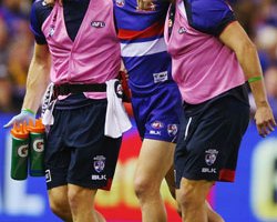 robert murphy western bulldogs