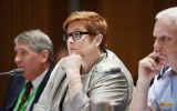marise payne