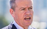 Mr Shorten suggested a government bailout might be necessary.