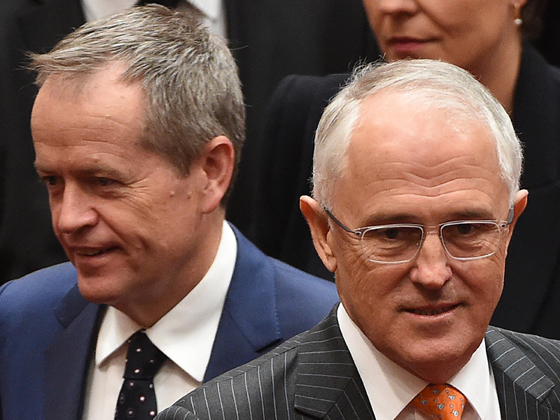 bill shorten malcolm turnbull