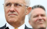 malcolm turnbull