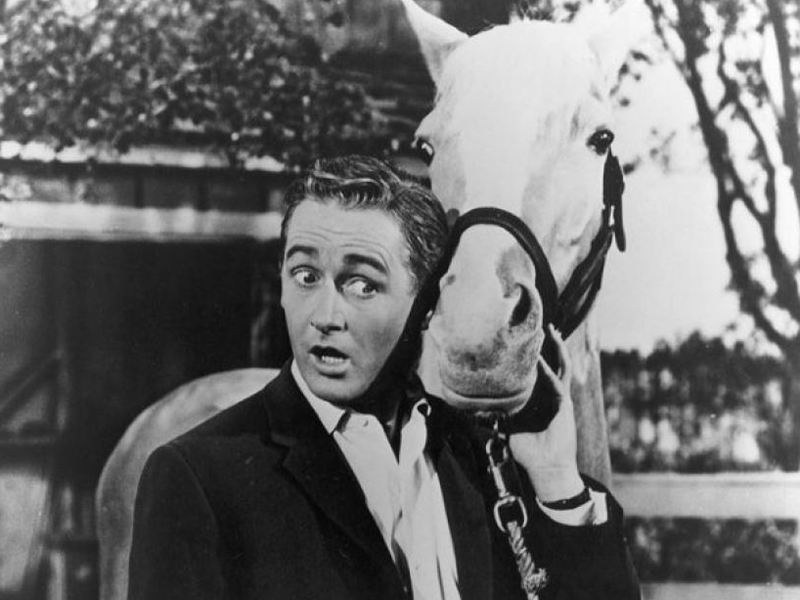 Mister Ed star dies