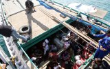 Banning live cattle export led to flood of boat people: Joyce.