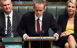 bill shorten