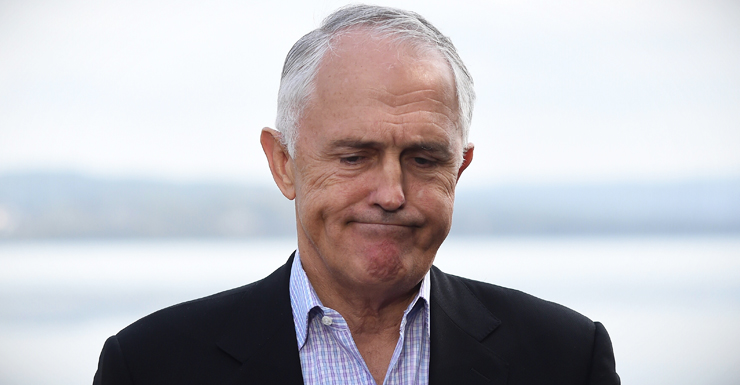 malcolm turnbull