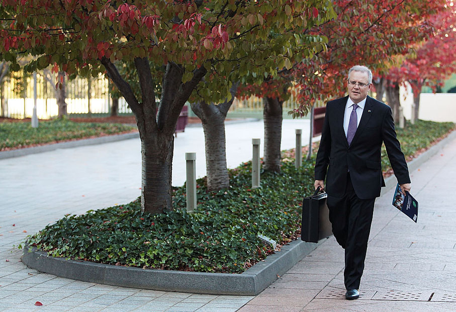 scott morrison treasurer