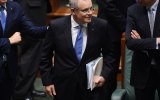 scott morrison