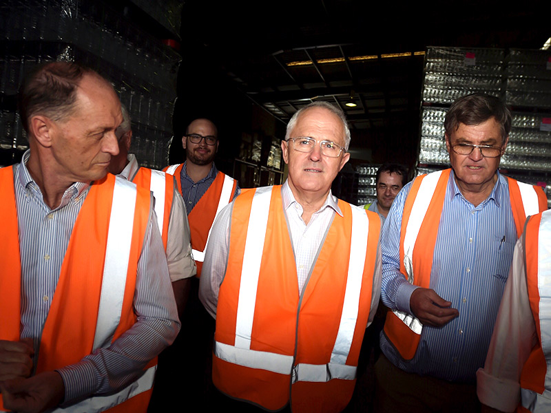 malcolm turnbull