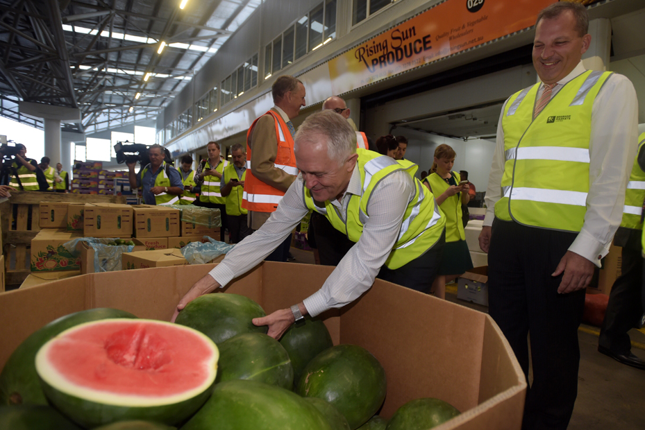 turnbull watermelon