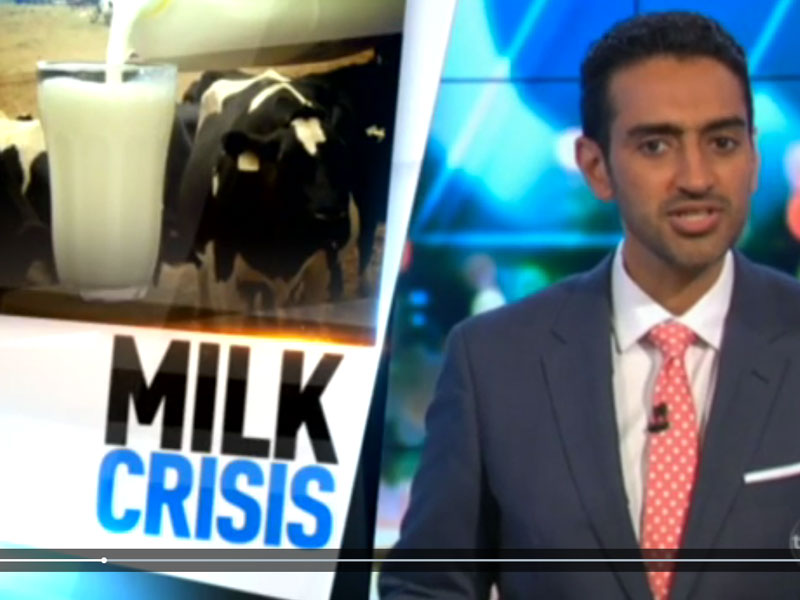 waleed aly