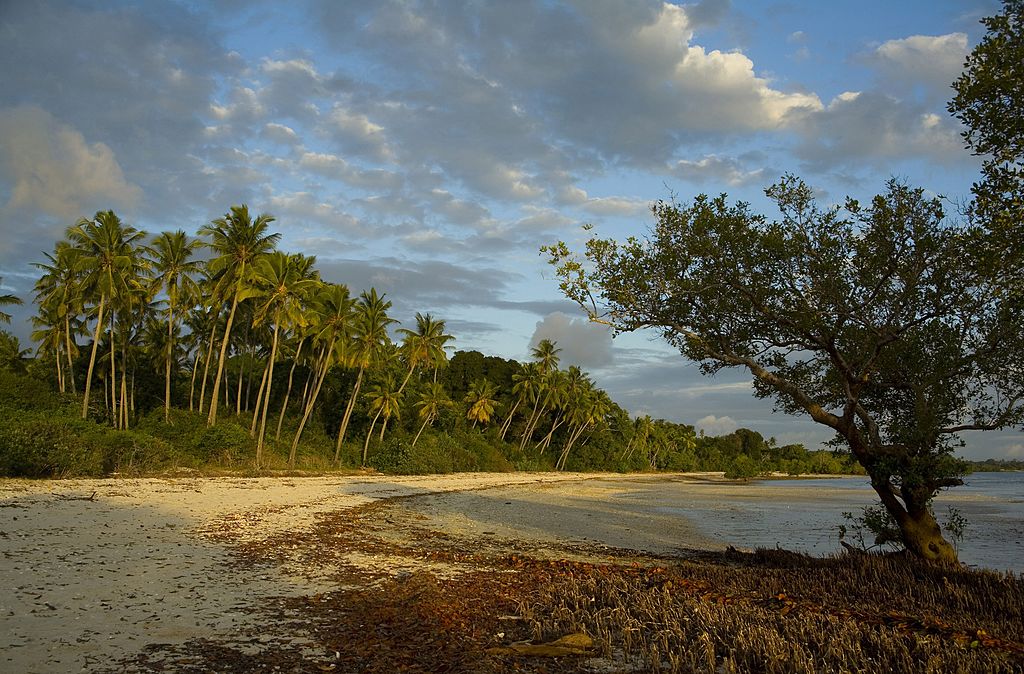 mh370 debris