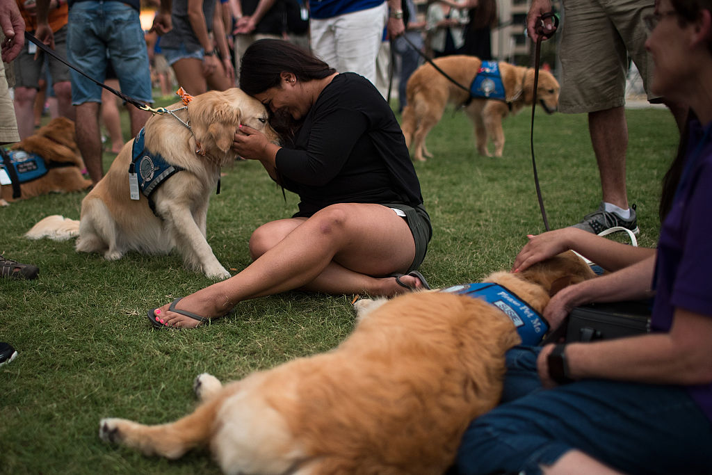 A woman cuddles a therapy dog in Orlando.