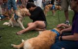 A woman cuddles a therapy dog in Orlando.