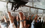 germs on trains